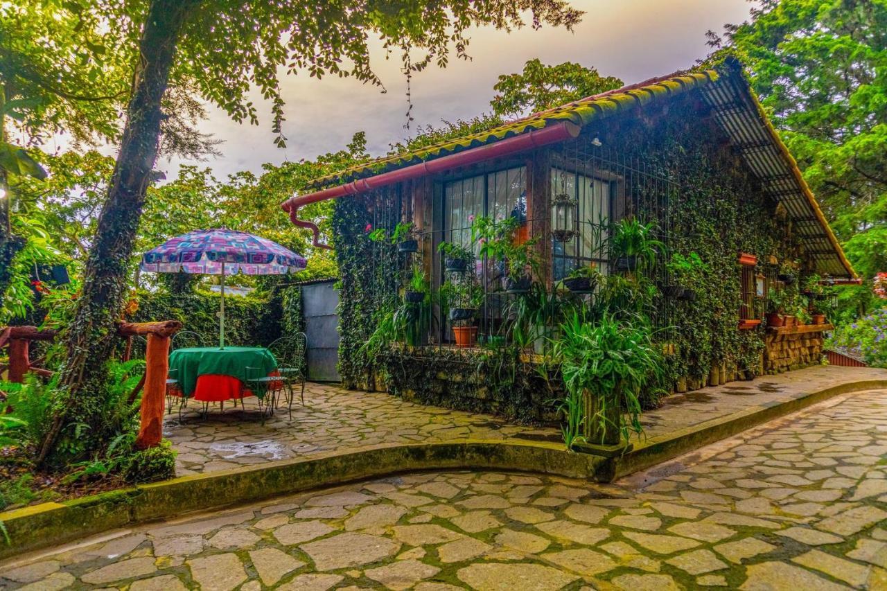 Los Naranjos Town Houses Exterior photo