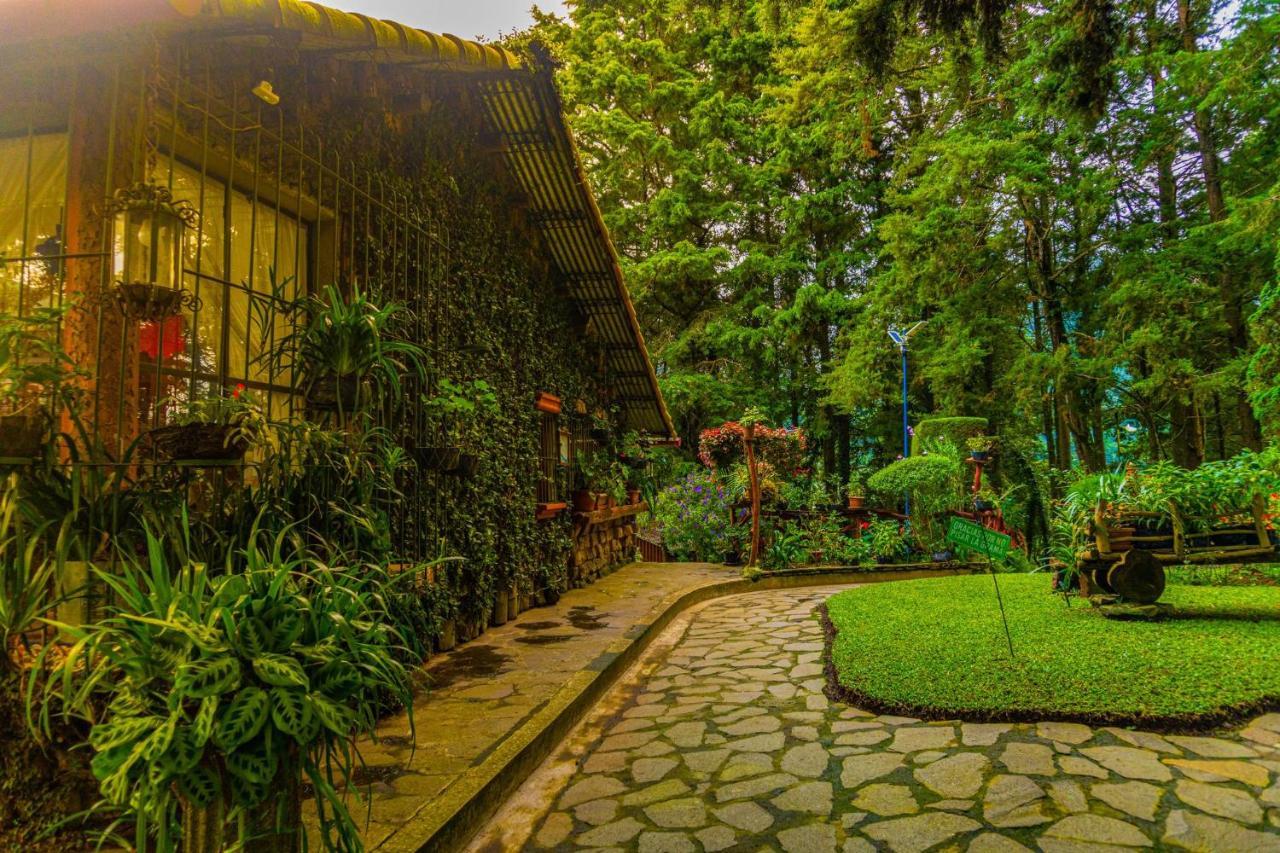 Los Naranjos Town Houses Exterior photo