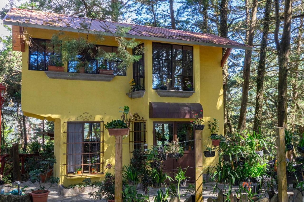 Los Naranjos Town Houses Exterior photo